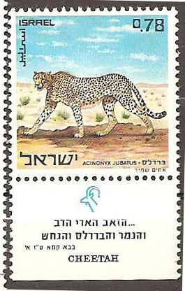 the postage stamp depicts the image of the running leopard