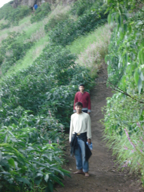 two people walking up a hill with plants on it
