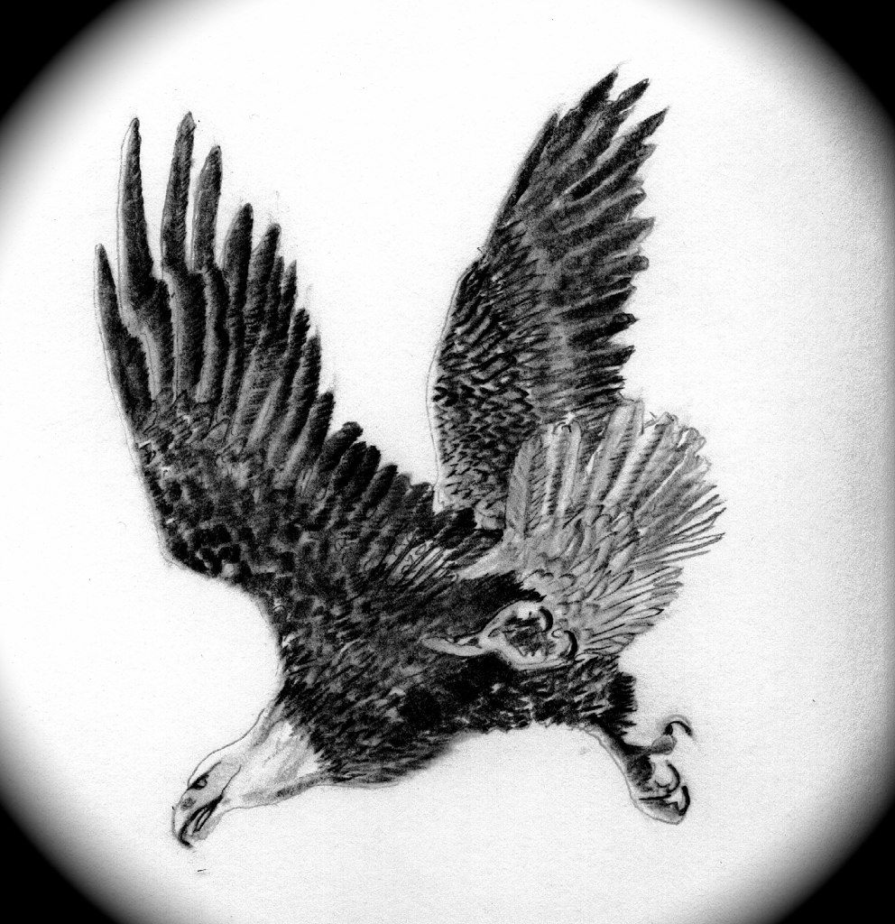 black and white drawing of a bird flying through the air