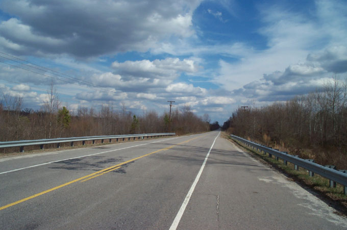 the empty road is very clear and the trees are all bare