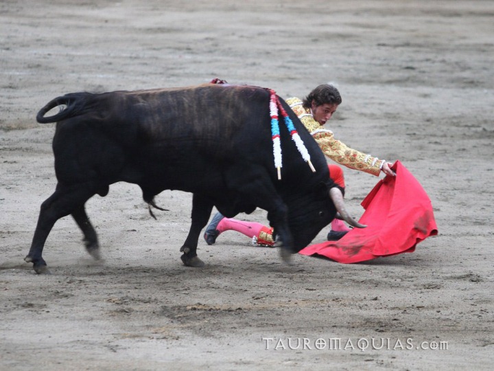 a man trying to wrestle a steer in a rodeo