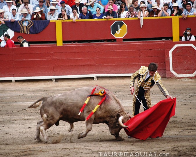 a man is attempting to lasso a bull during a game