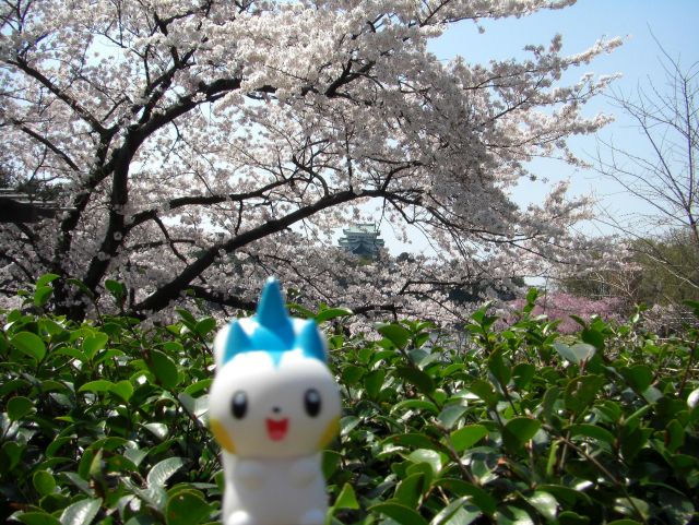 a white toy in the bushes with a blue and yellow hair