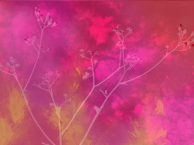 an abstract drawing of some flowers on a pink background