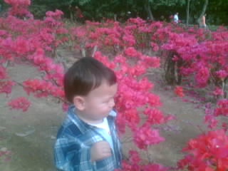 a small child in front of some flowers