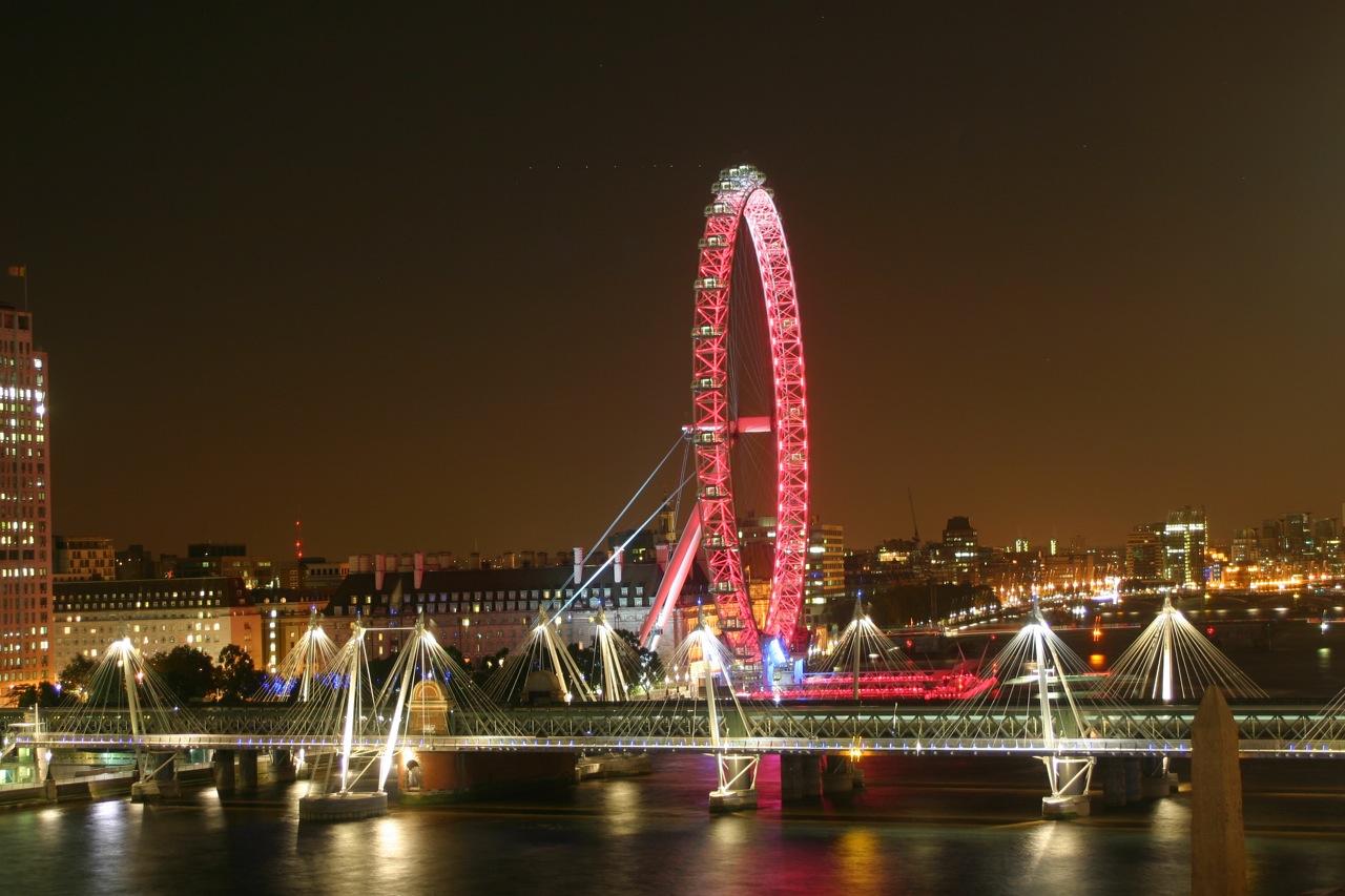 the ferris wheel stands tall over a body of water