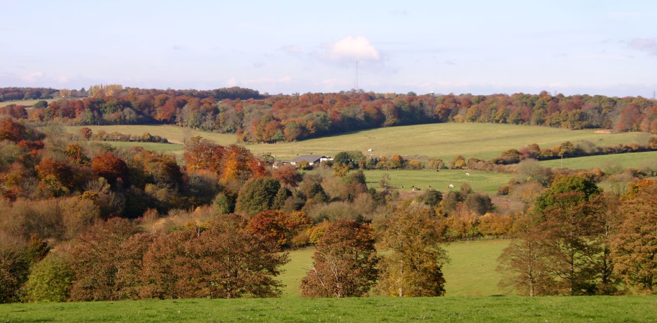 a scenic po of the countryside in autumn