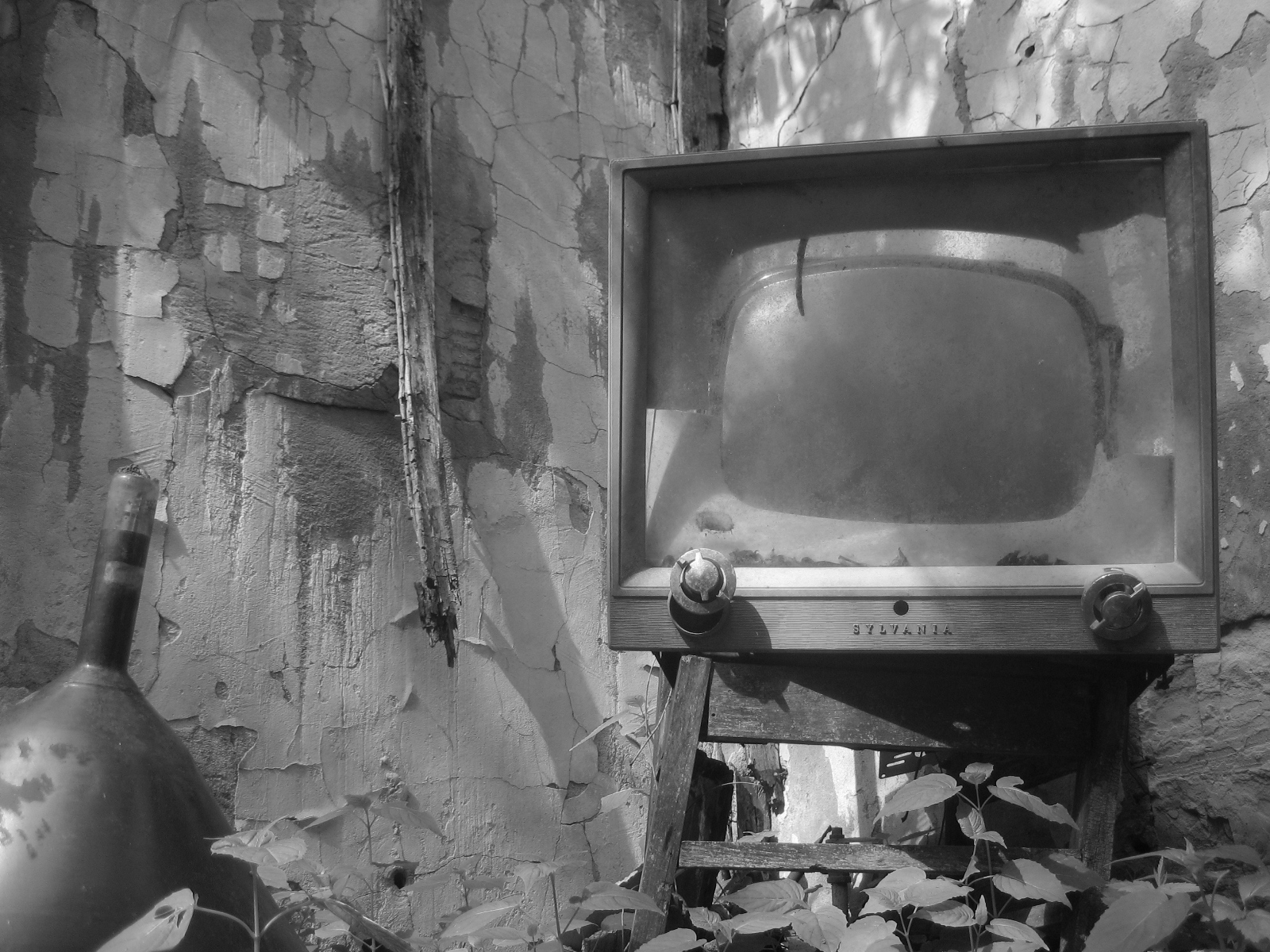 an old television and potted plants in front of a crumbling wall