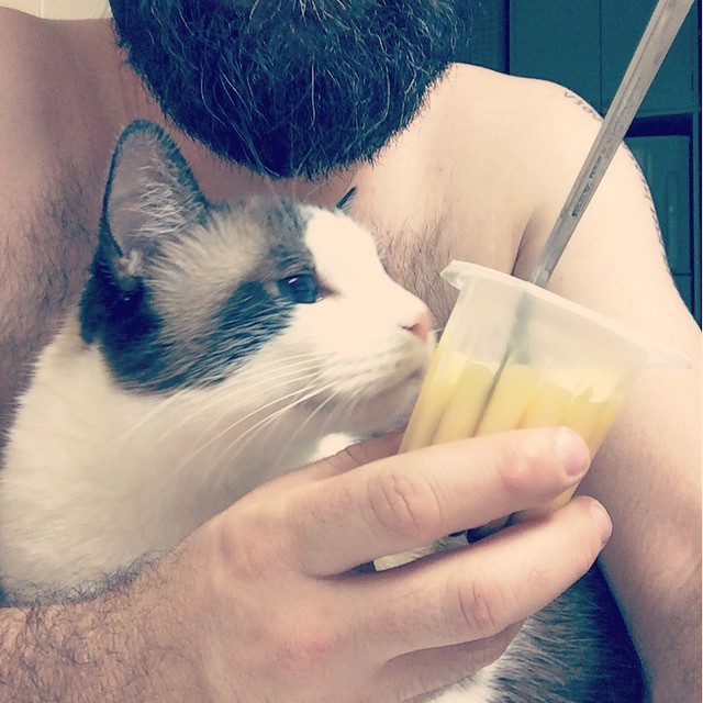 the man is eating food from his glass with a cat nearby