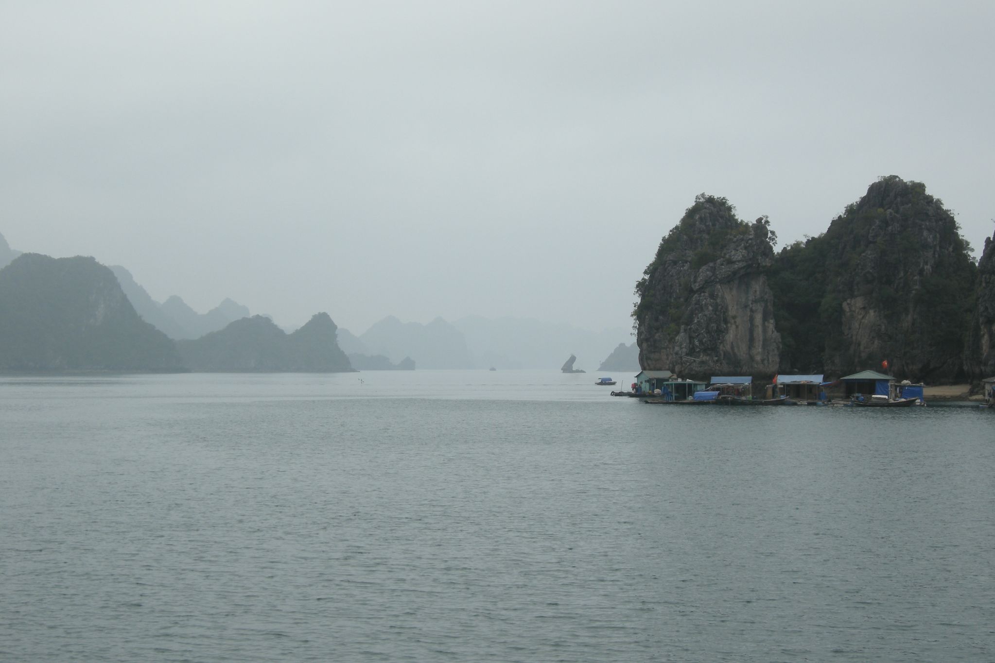 a body of water with many boats floating on it