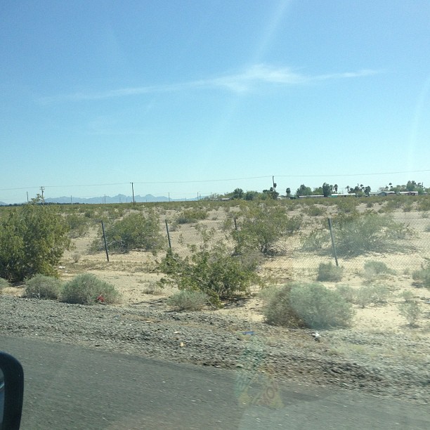 a view from the front of a vehicle of a desert with sp trees