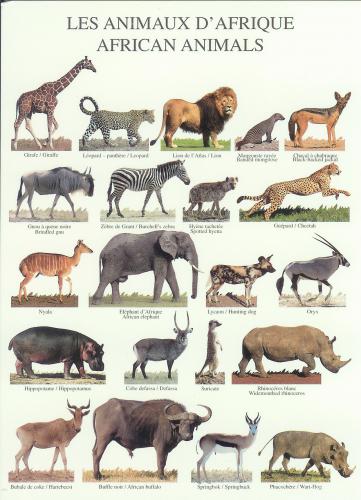 this book has pictures of different animals in the wild
