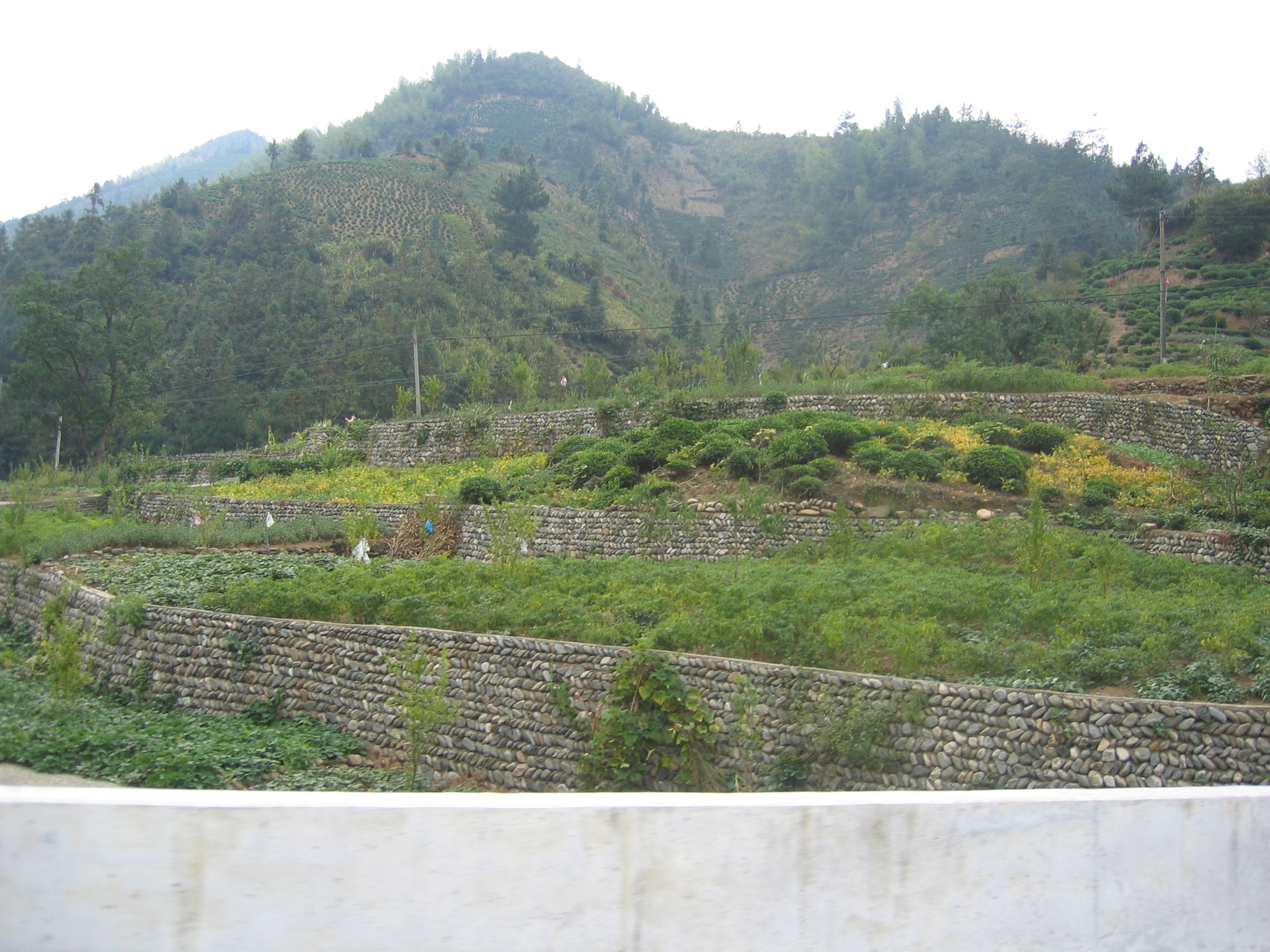 a stone wall with green vegetation in the distance