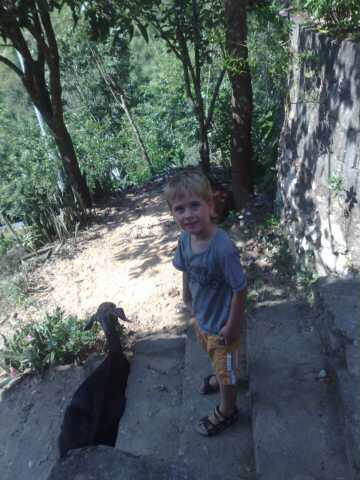 the small child is standing beside a black dog