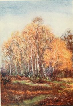 an oil painting on a sheet with trees in the background