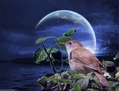 a bird perched on a plant next to the moon
