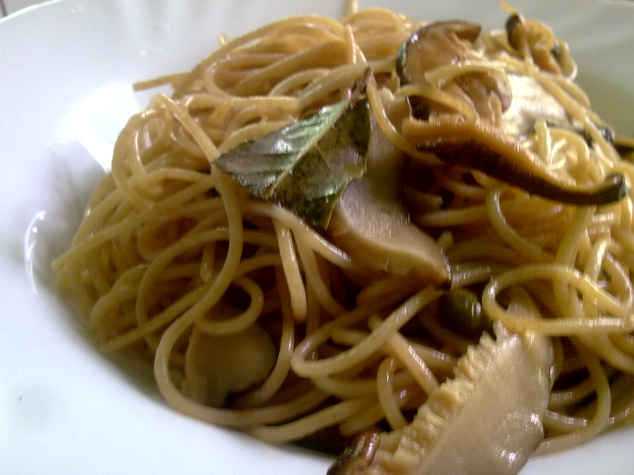 a dish with pasta, mushrooms and cream sauce