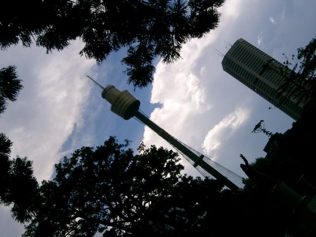 a street light that is standing next to some trees