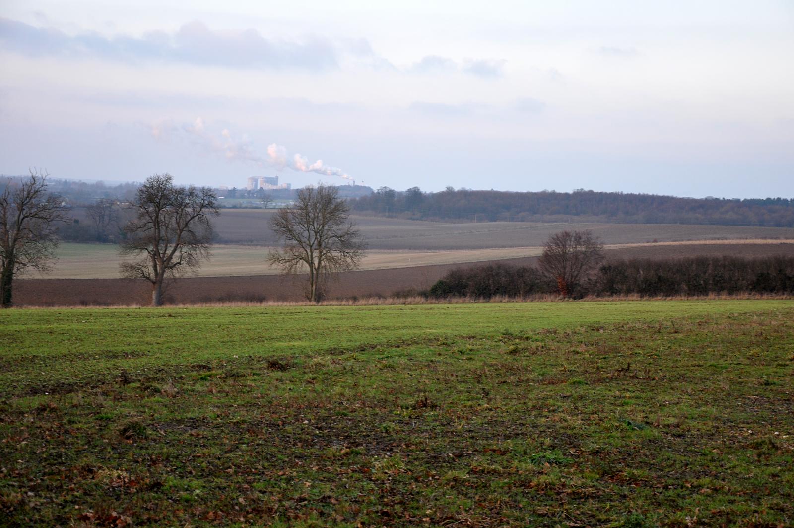 a couple of trees in the middle of a grassy field