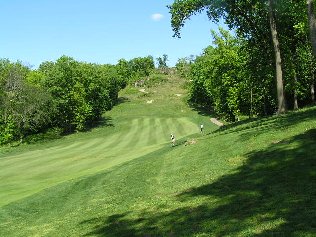 a scenic view of a golf course with the ground covered in green
