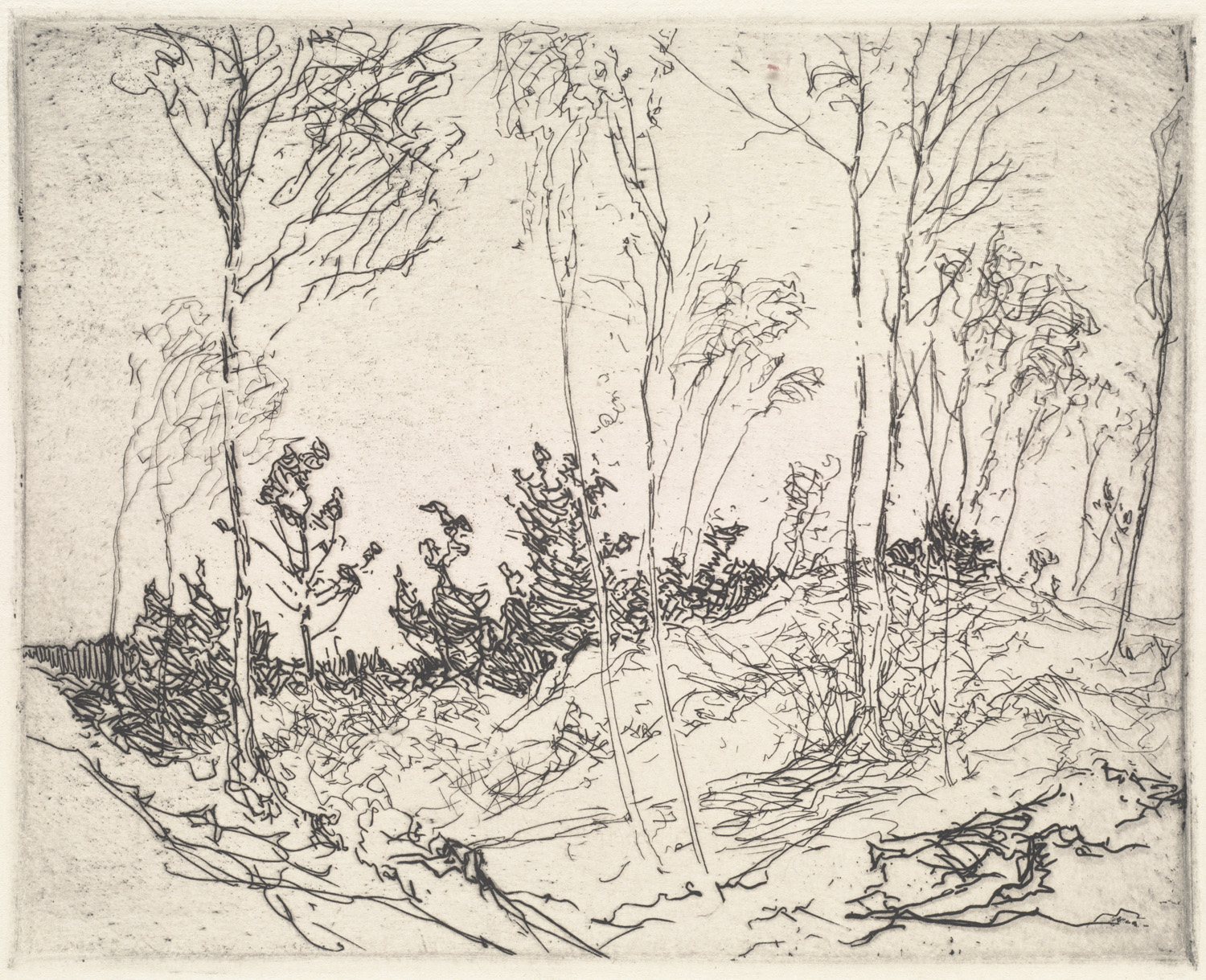 a drawing of a wooded area that is in the midst of being surrounded by debris and trees