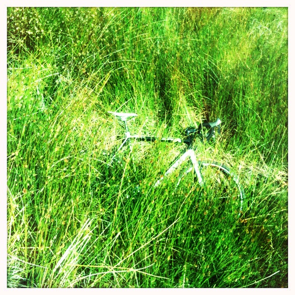 a group of bicycles that are in some grass