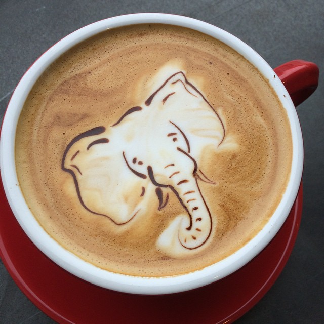 a mug of coffee with an elephant drawing on it