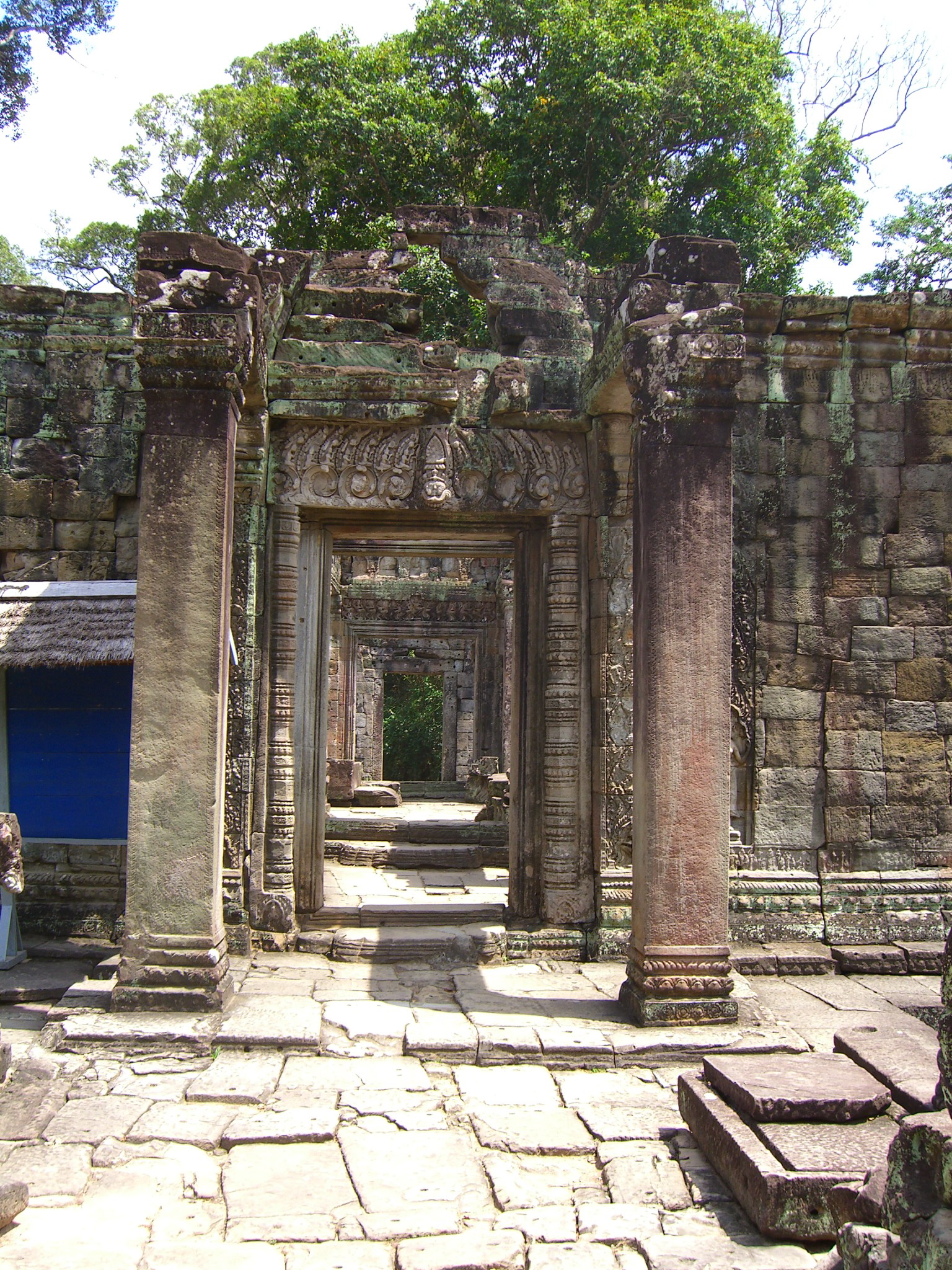 the ruins of an ancient building with trees growing in it