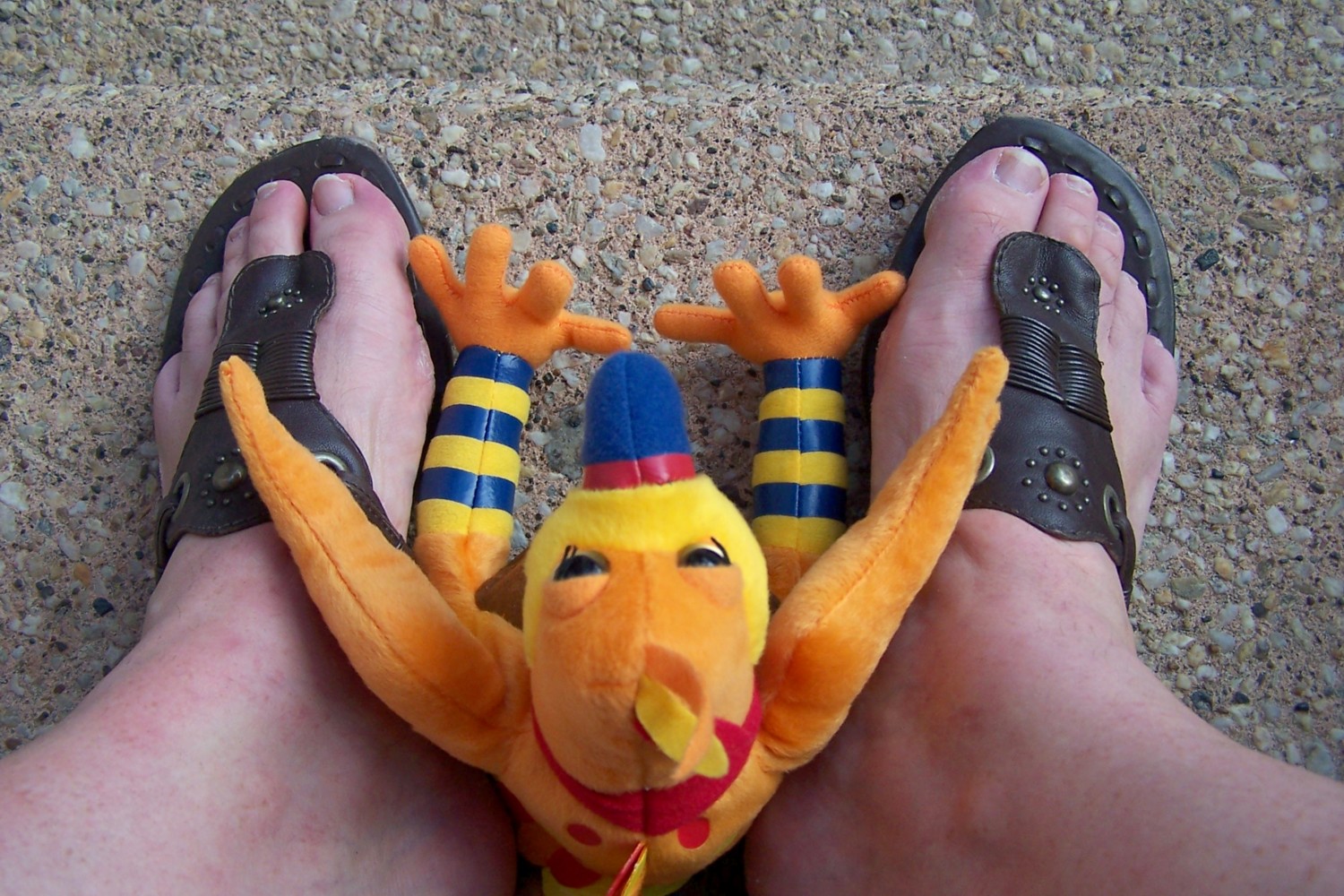 the legs and feet of someone wearing sandals