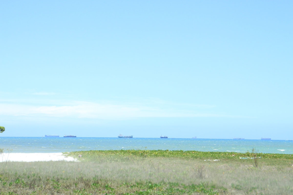 a grassy field on the shore of a beach near the ocean