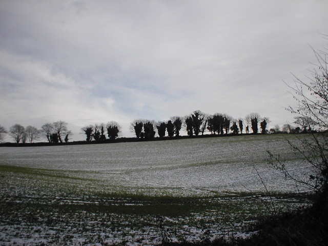 the field is full of snow while trees are in the distance