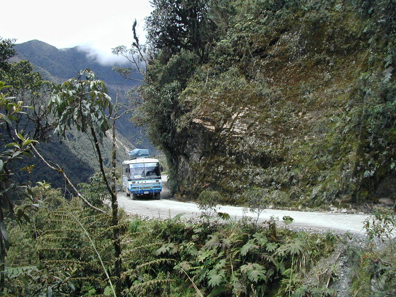 a white van is driving along a road in the jungle