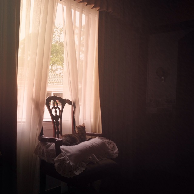 an image of a window with sheer curtains