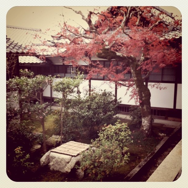 this is a japanese style building with a tree next to it