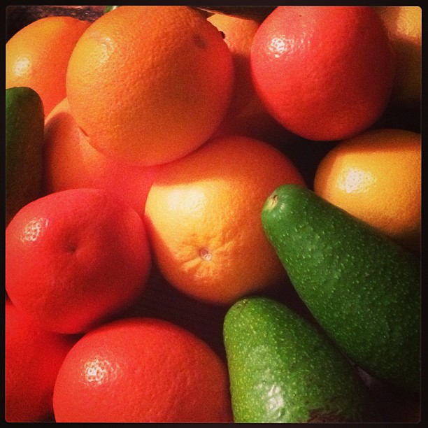 a close up of a large pile of oranges