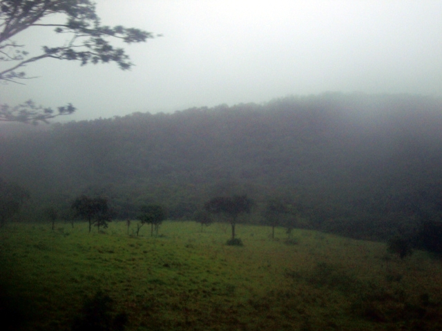 a field and trees in the distance are obscured by mist