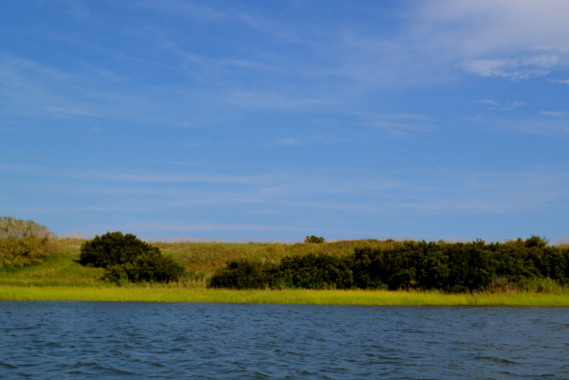 water and trees surround a large field