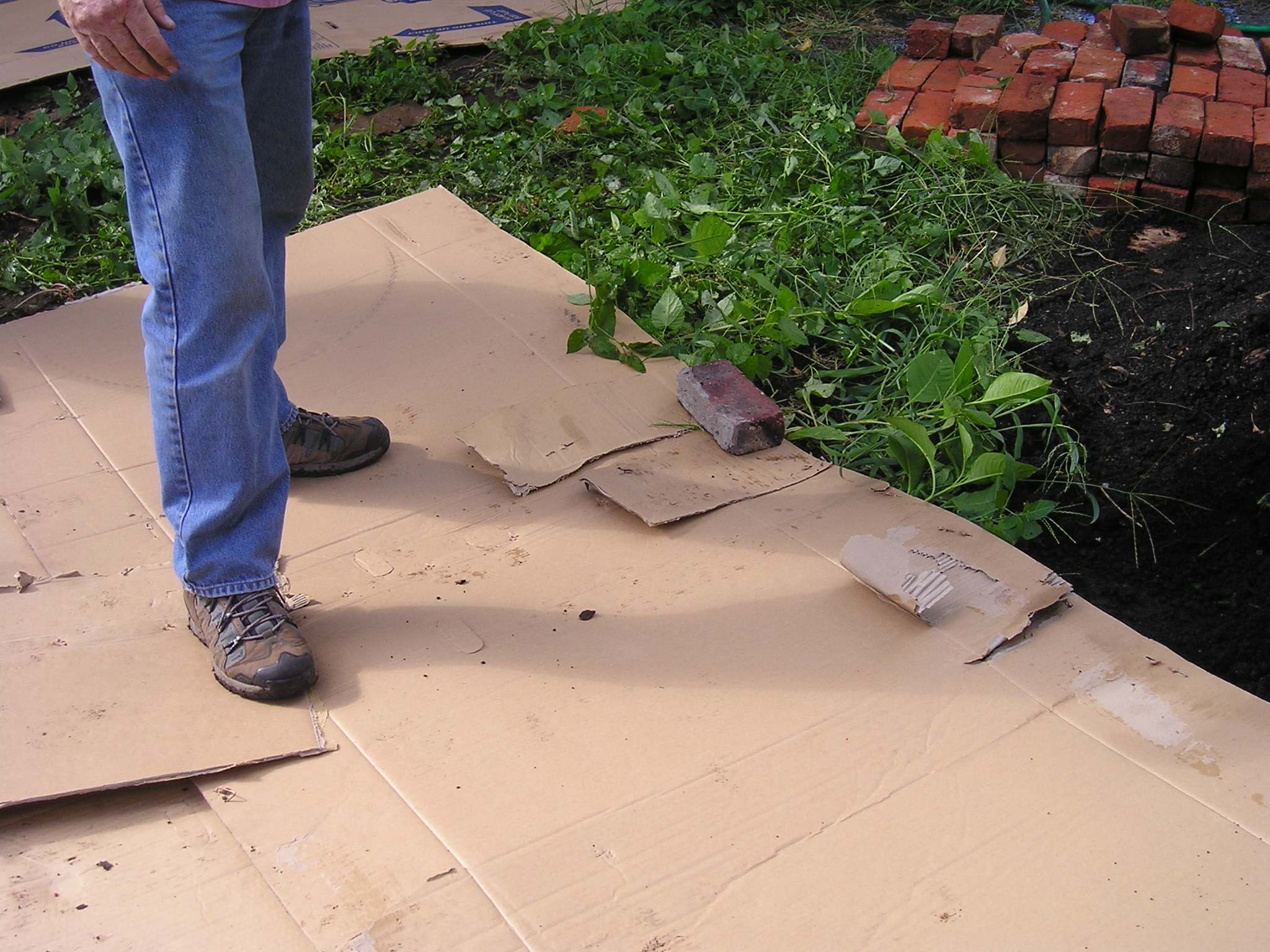 a person standing on a piece of cardboard in the yard