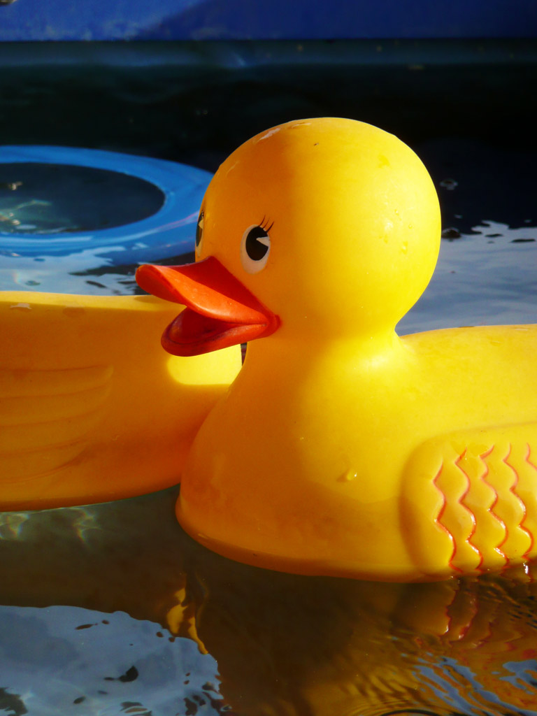the yellow rubber duck is riding on the surface of the water