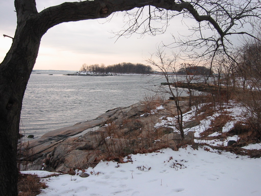 a po taken from a wintery looking overlook point overlooking a body of water