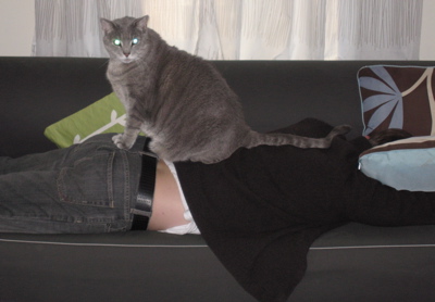 a cat sitting on top of a woman lying on the couch