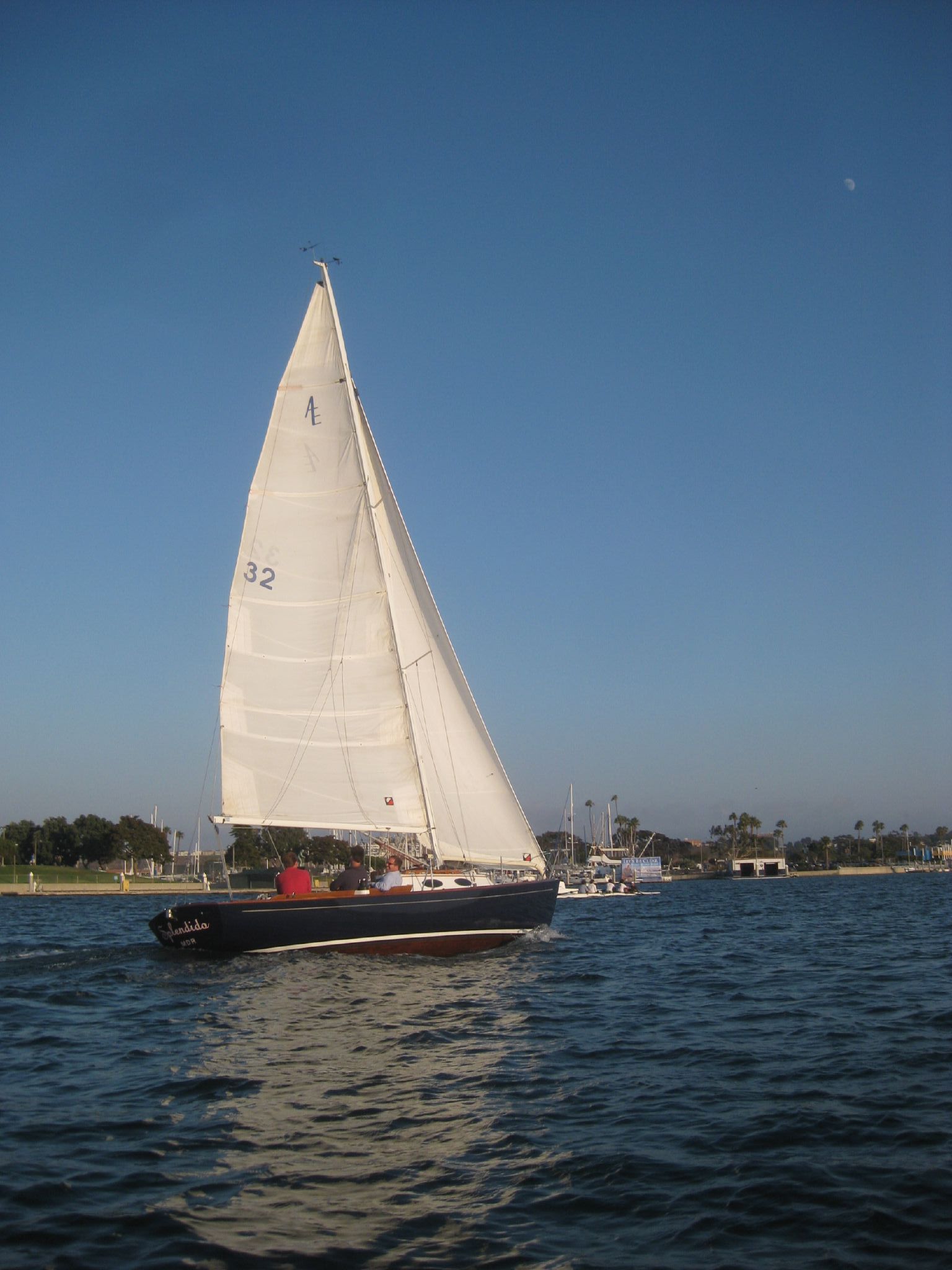 a sailboat in a body of water next to a tree