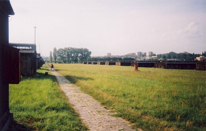 a field with a path and building next to it