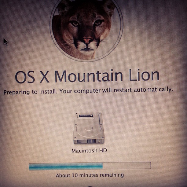 a screen with the logo of a mountain lion on it