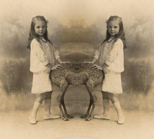 a couple of girls that are standing next to a animal