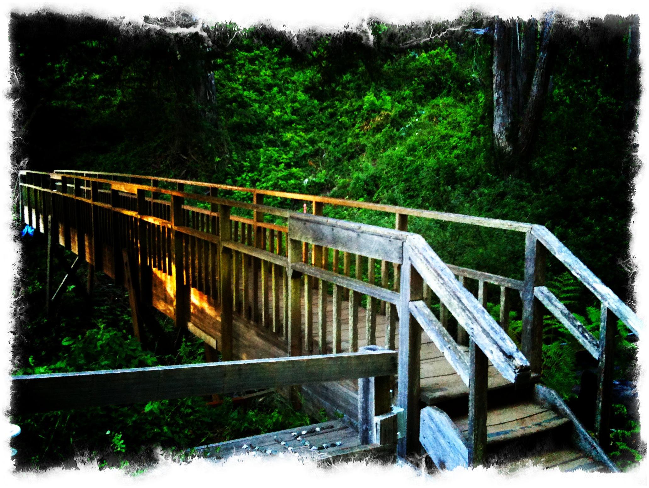 there is a wooden bridge on the mountains