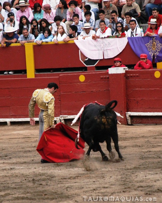 a person that is trying to stop a bull