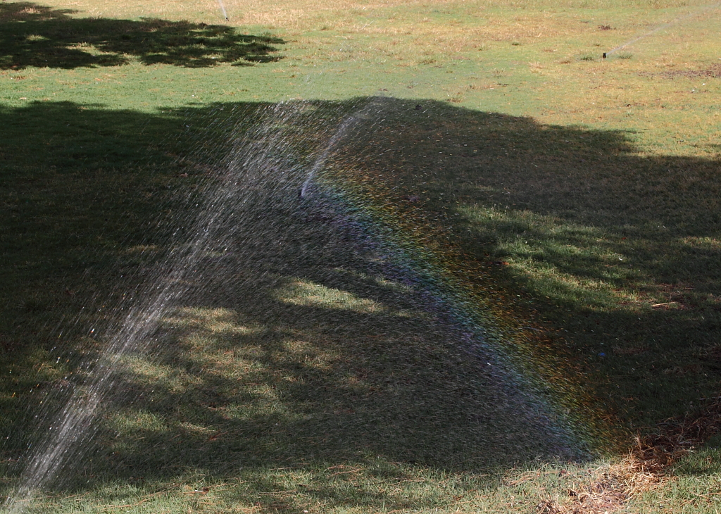 a close up of a water hose in the middle of a field