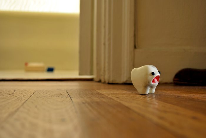 a tooth toy on a wood floor near a doorway