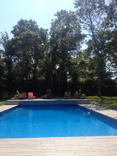 a rectangular pool with wooden deck in front of trees
